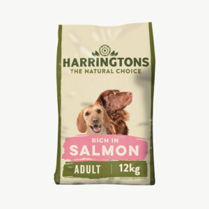 Puppy Plus Growth Wet Dog Food