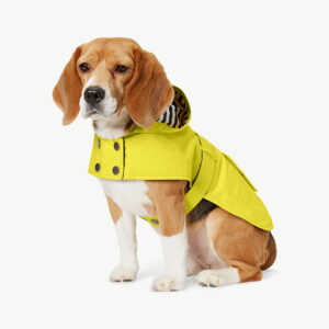Hooded Dog Raincoat