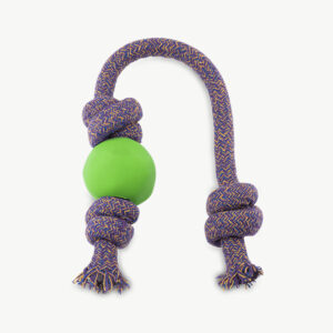 Natural Rubber Ball On A Rope Dog Toy