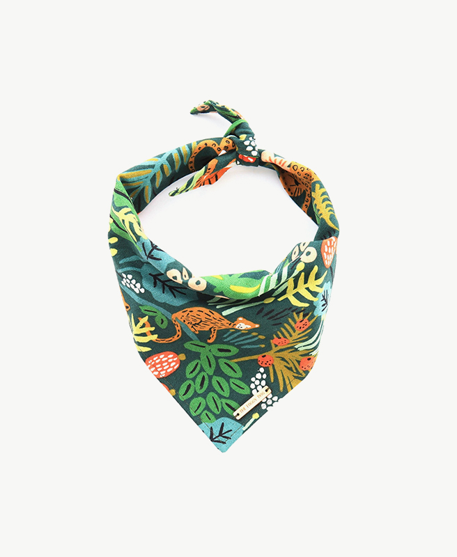 Himalaya Healthy pet food chicken & rice