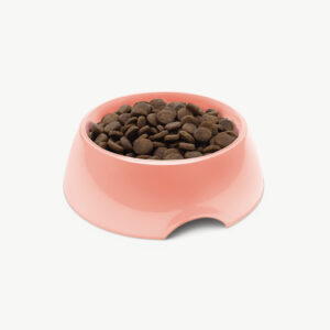 Dog Food Bowl