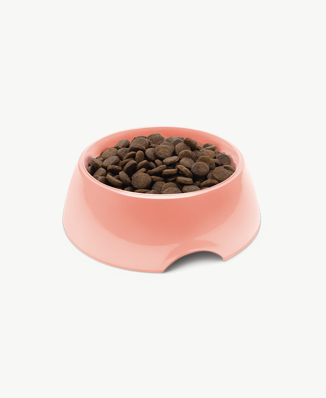 super durable solid wood cat tree