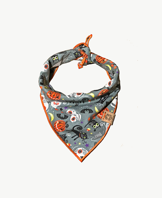 Himalaya Healthy pet food chicken & rice