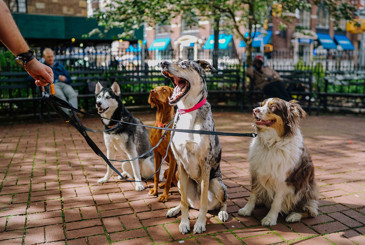 The Cincinnati Zoo Blog