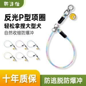 P Rope Collar and Leash