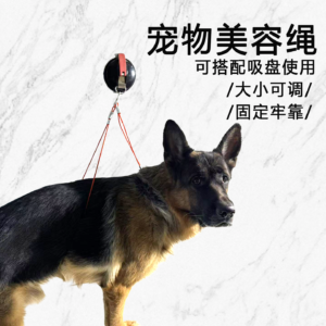 Large Dog Grooming Leash